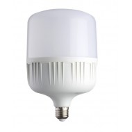 Torch Ampul 50 Watt